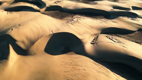 dunas de arena onduladas en luz dorada, sombras que crean contraste, serena, vista aérea