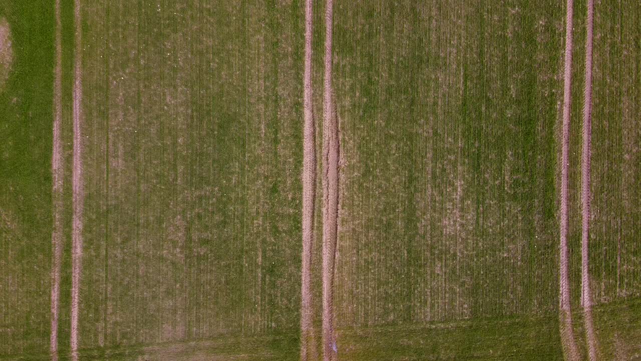 봄철 들판에 새로 심은 트랙터 트랙과 농작물의 공중 전망, 농업 농업 및 식량 생산, 복사 공간, 하강 광각 조류 눈 드론 샷