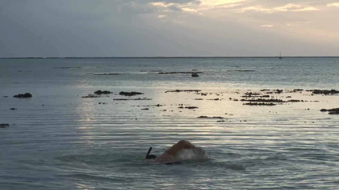 imágenes de stock de natación