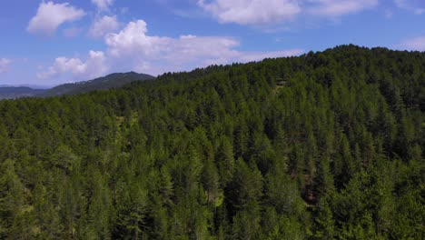 Friedliche-Berglandschaft-Mit-Kiefernwald-An-Einem-Sonnigen-Tag-Mit-Schönen-Wolken-Am-Glänzenden-Himmel