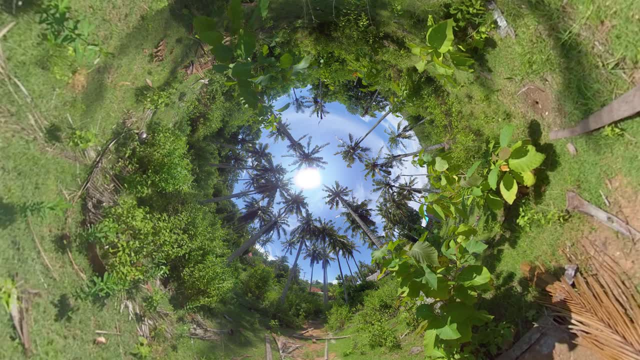 vista estática de 360 que muestra el hermoso mundo de palmeras de nusa lembongan durante el día soleado en indonesia