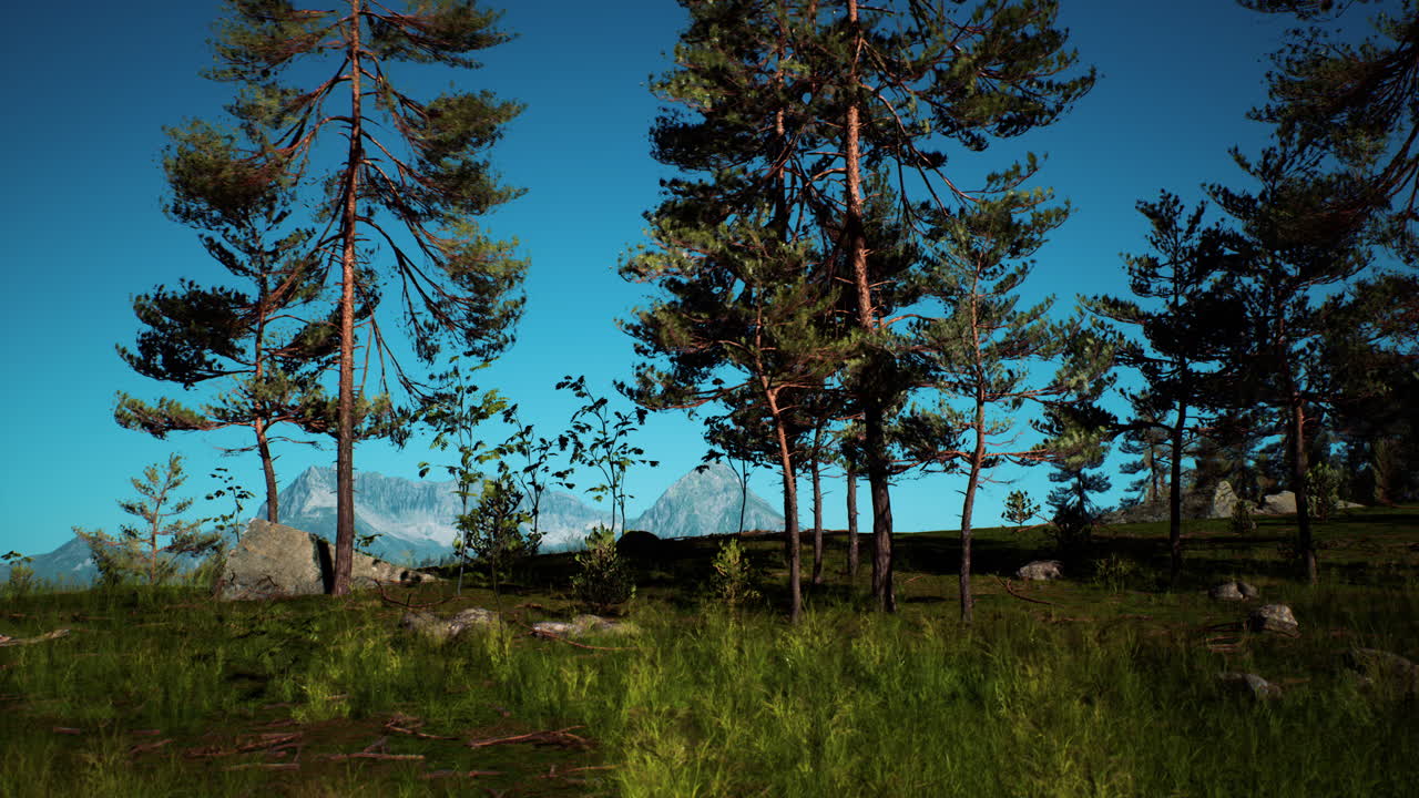 paisaje de bosque de montaña brumoso por la mañana