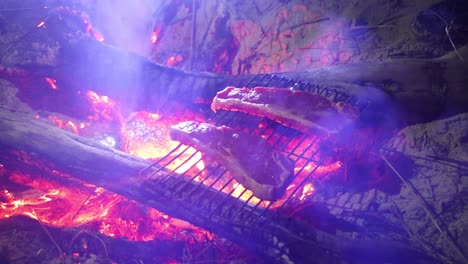 dos grandes filetes siendo carbonizados a la parrilla sobre un fuego en la playa por la noche en australia