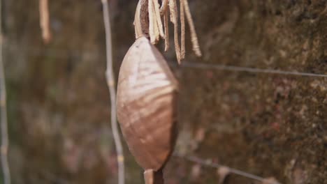 Hanging-coconut-fish-ornament.-Decoration-outdoors