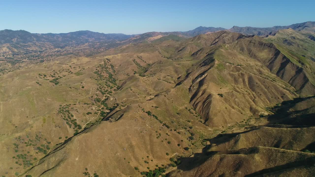 drone scattato di vasto bestiame e terra di caccia