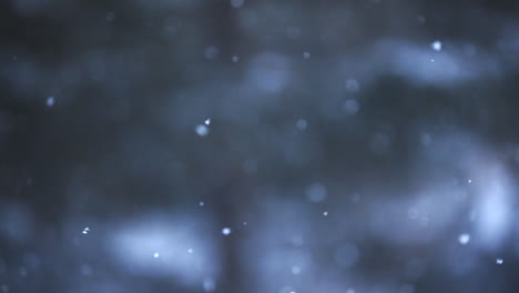 copos de nieve rastreados por la cámara cayendo en un día frío y tormentoso