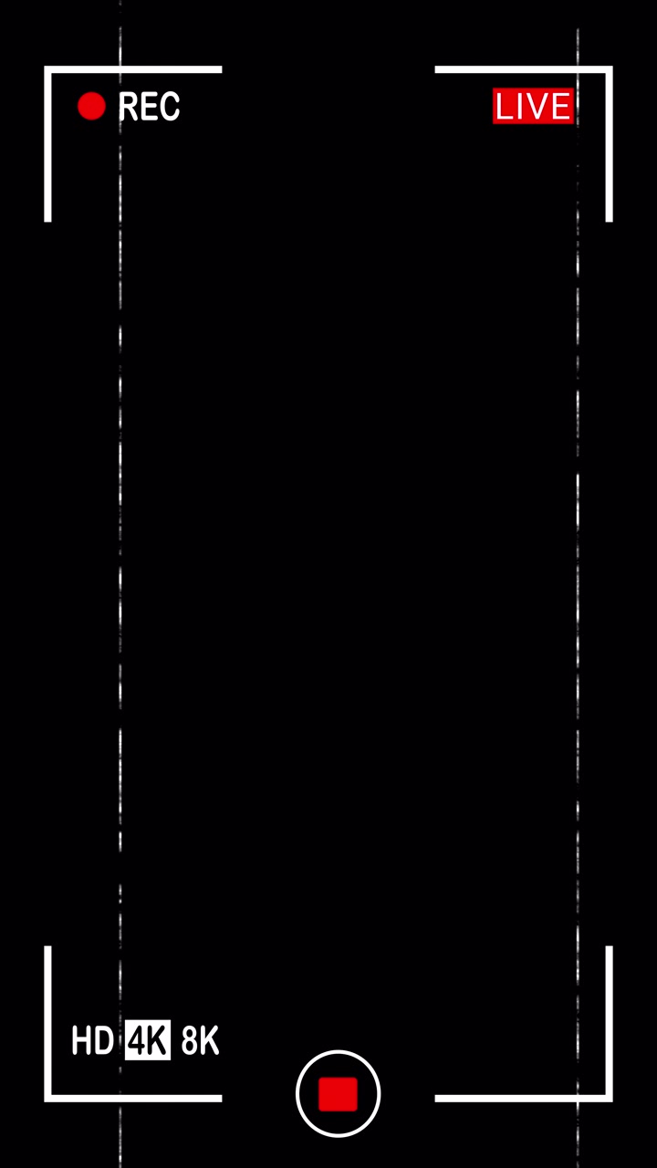 Digital Camera Recording Interface Overlay with Glitch Effect