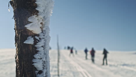 Closeup on Frosty Pole with Soft Focus People Skiing in Background