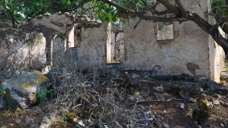 ruined house in a forest