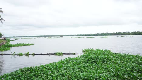 african algae beginning to flow down the river, a flowing river and a rainy sky, large rivers found in asia