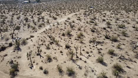 aerial drone view flying over vast deserted land in joshua tree national park