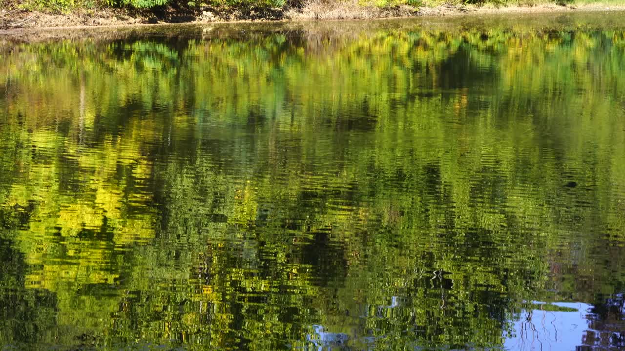 lago de agua que refleja un parque tranquilo con árboles y gente haciendo senderismo en otoño