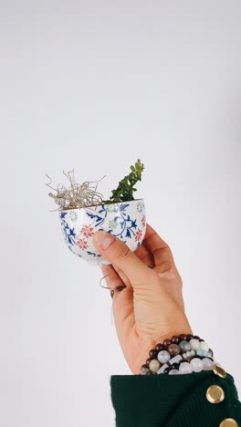 hand holding small planter with succulent