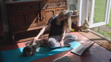 woman doing yoga with her cat