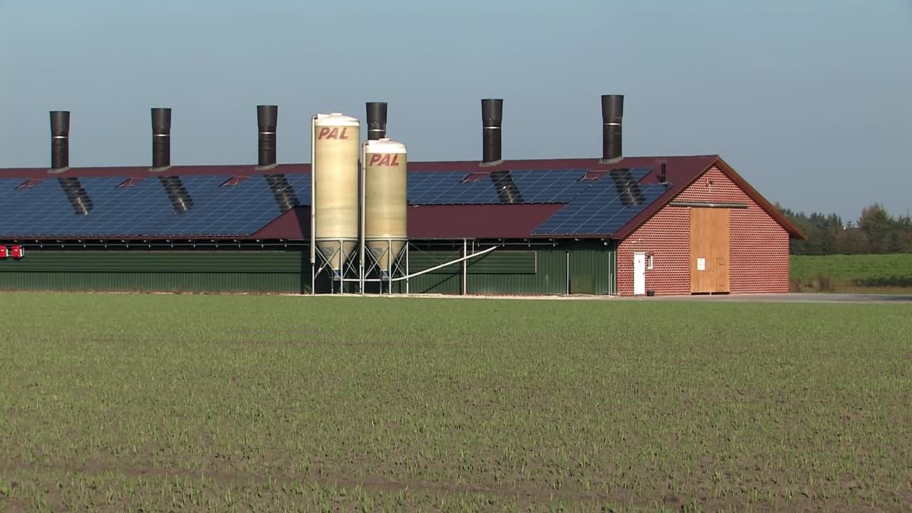 casa de gallinas o cerdos cerca de vechta en alemania-1