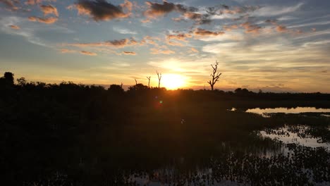 sunset in a wetlands in brazil