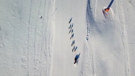 dog sledding competitor racing across winter landscape, aerial top down