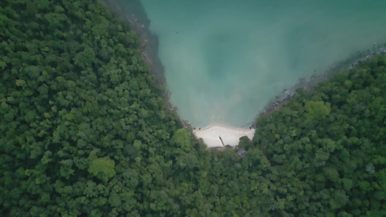 A remote tropical shoreline surrounded by jungle, transitioning into a cinematic sunset over the sea.