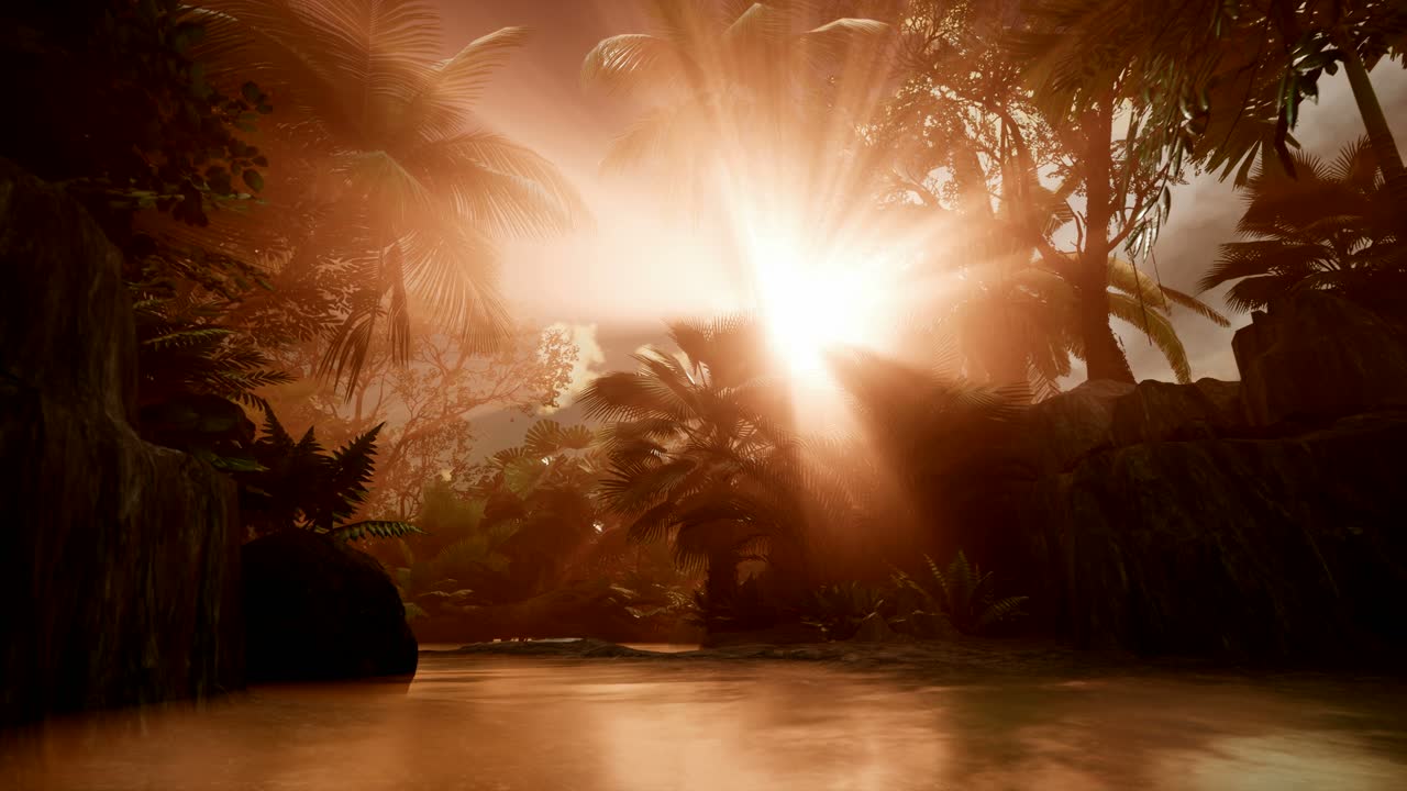 Sunset Beams through Palm Trees