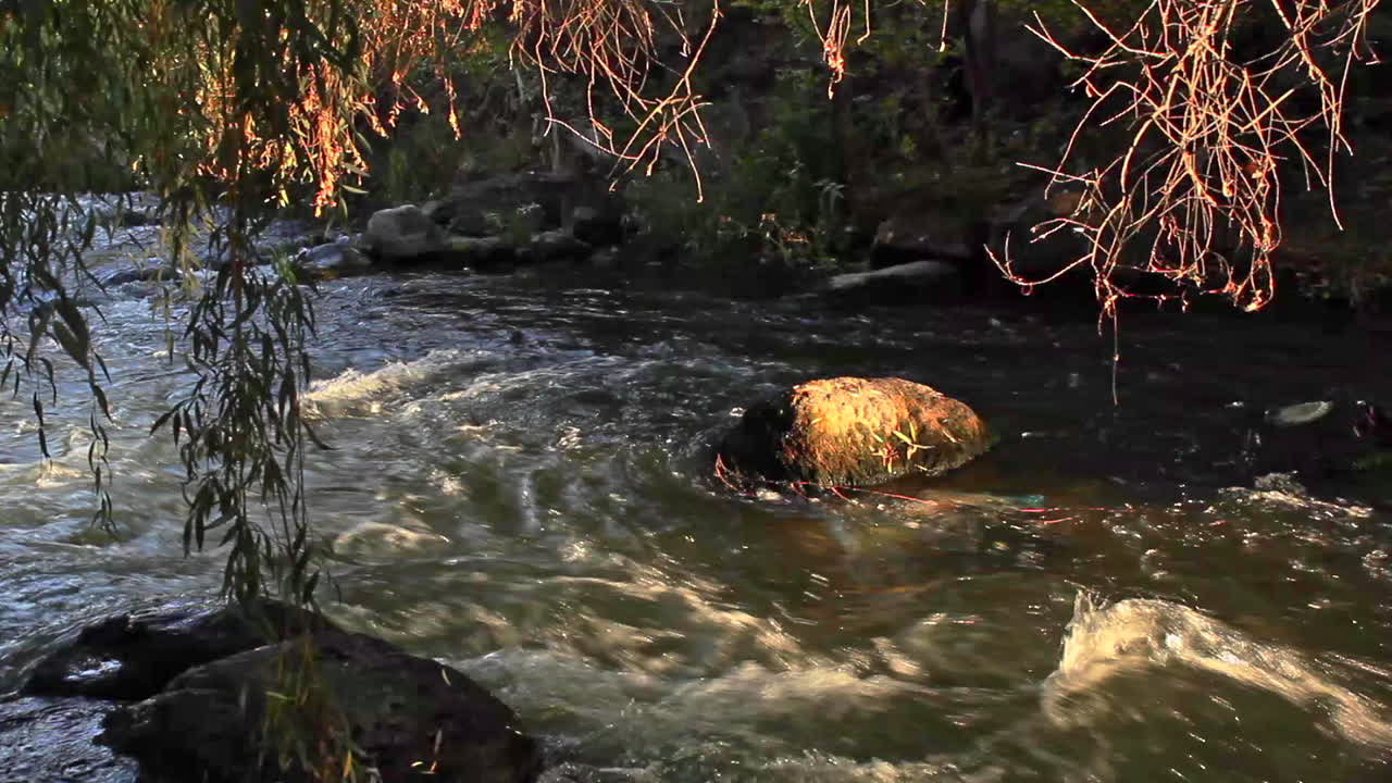 agua que fluye más allá de la roca en el río