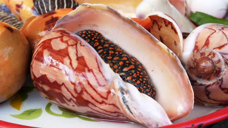 Close-up-of-plate-of-fresh-colorful-sea-snails-for-eating