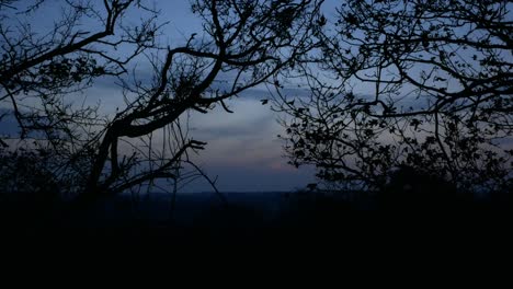 Timelapse-Del-Cielo-De-Día-A-Noche-Con-Nubes-En-Movimiento-Y-Bosque-Oscuro-En-Primer-Plano