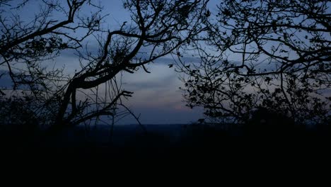day to night sky timelapse with moving clouds and dark forest in foreground