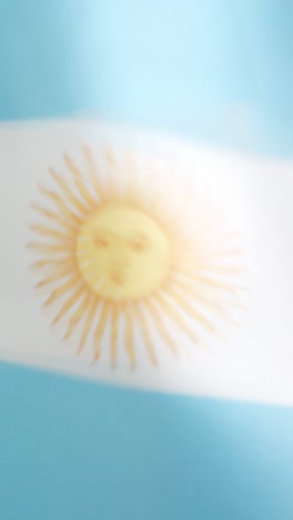 vertical video of argentine national flag waving by the wind