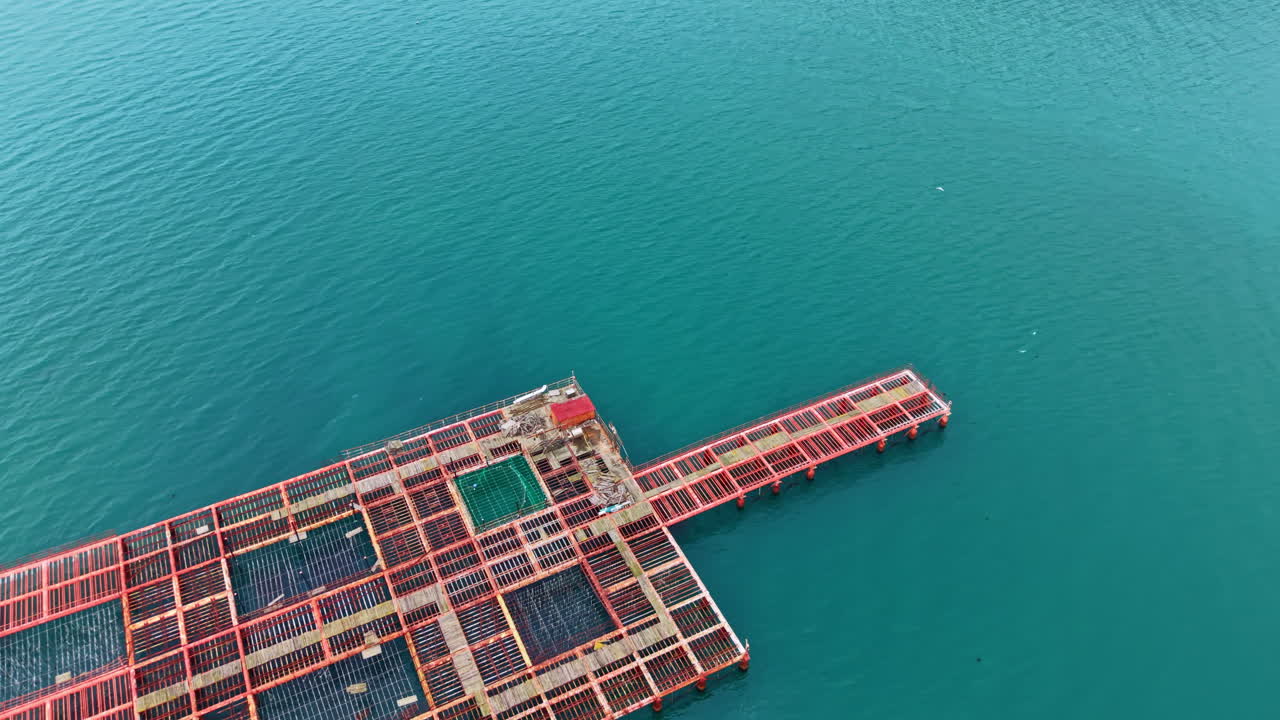 Mussel farm structures sit in the water with ropes and nets visible during daylight hours in a coastal area