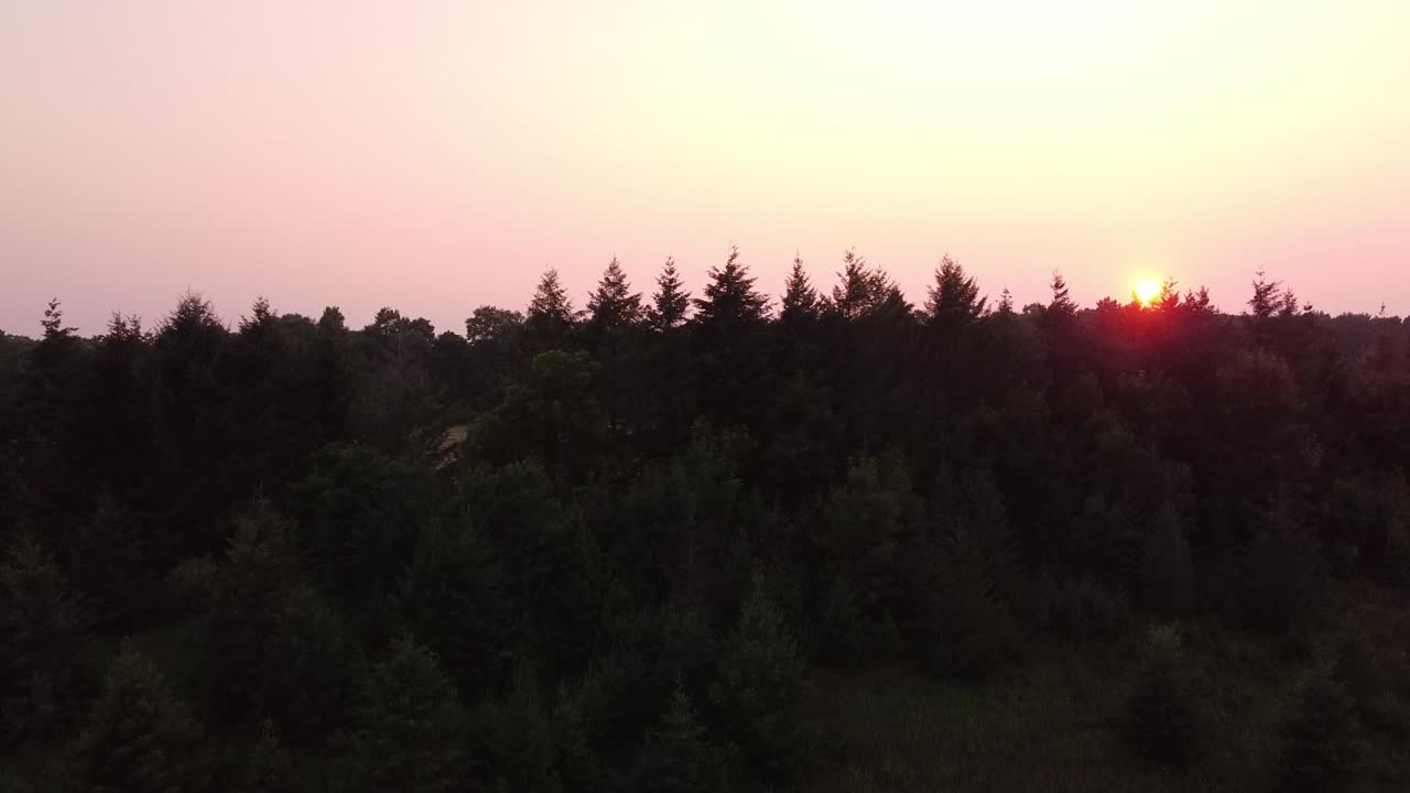 hermoso cielo rosa y puesta de sol dorada en un campo rodeado de bosque verde