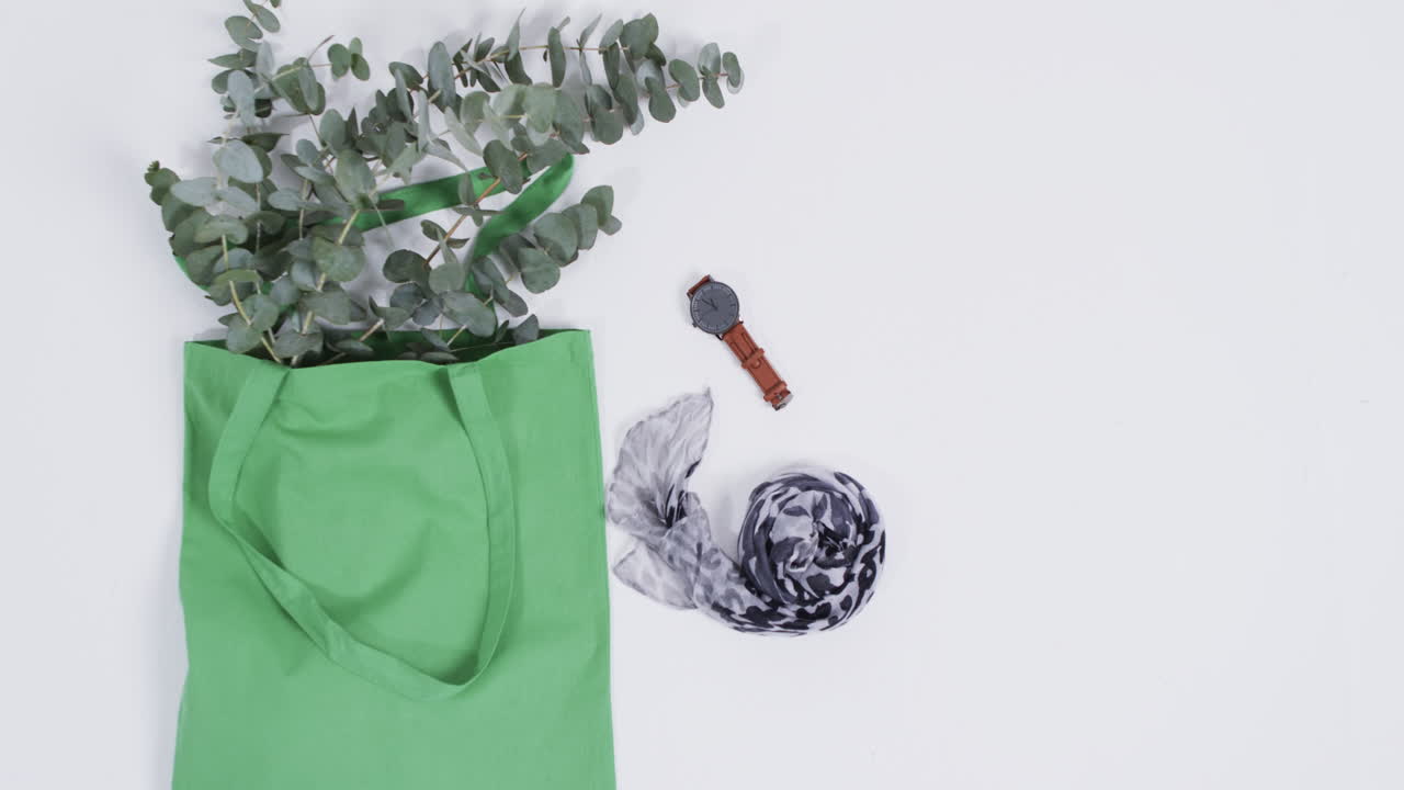 녹색 캔버스 가방의 비디오 식물, 스카프, 시계,  ⁇ 색 배경에 복사 공간