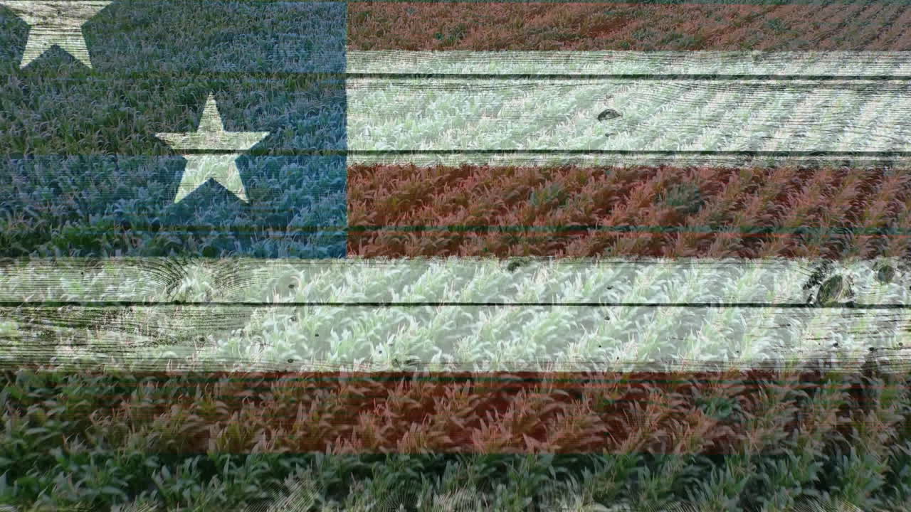 미국  ⁇ 발 비디오