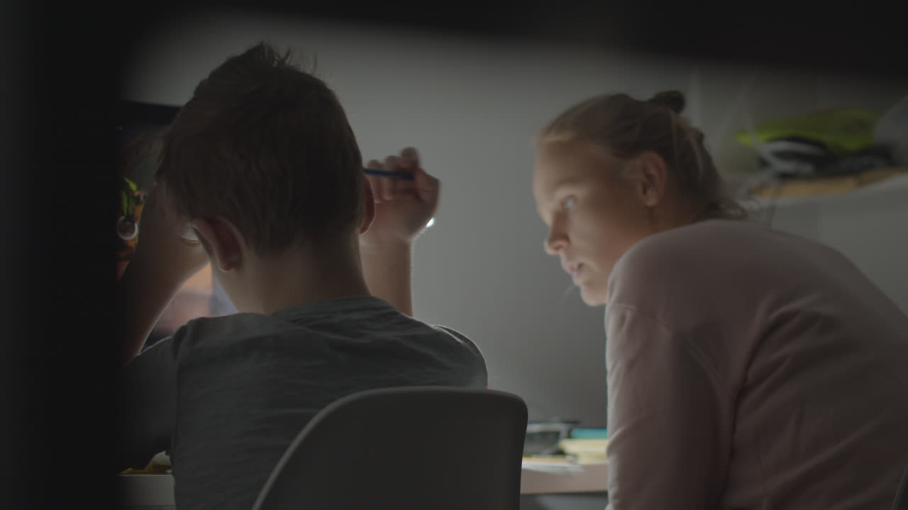 코로나19 팬데 기간 동안 가정 학습