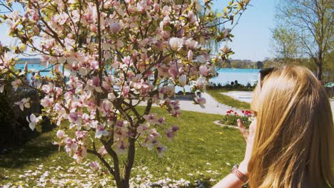 Frau-Fotografiert-Einen-Baum-Voller-Blumen-Im-Sonnenlicht