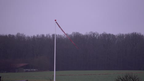 banderín danés en el viento en un día helado