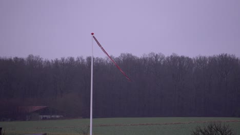 danish pennant in the wind on a frosty day