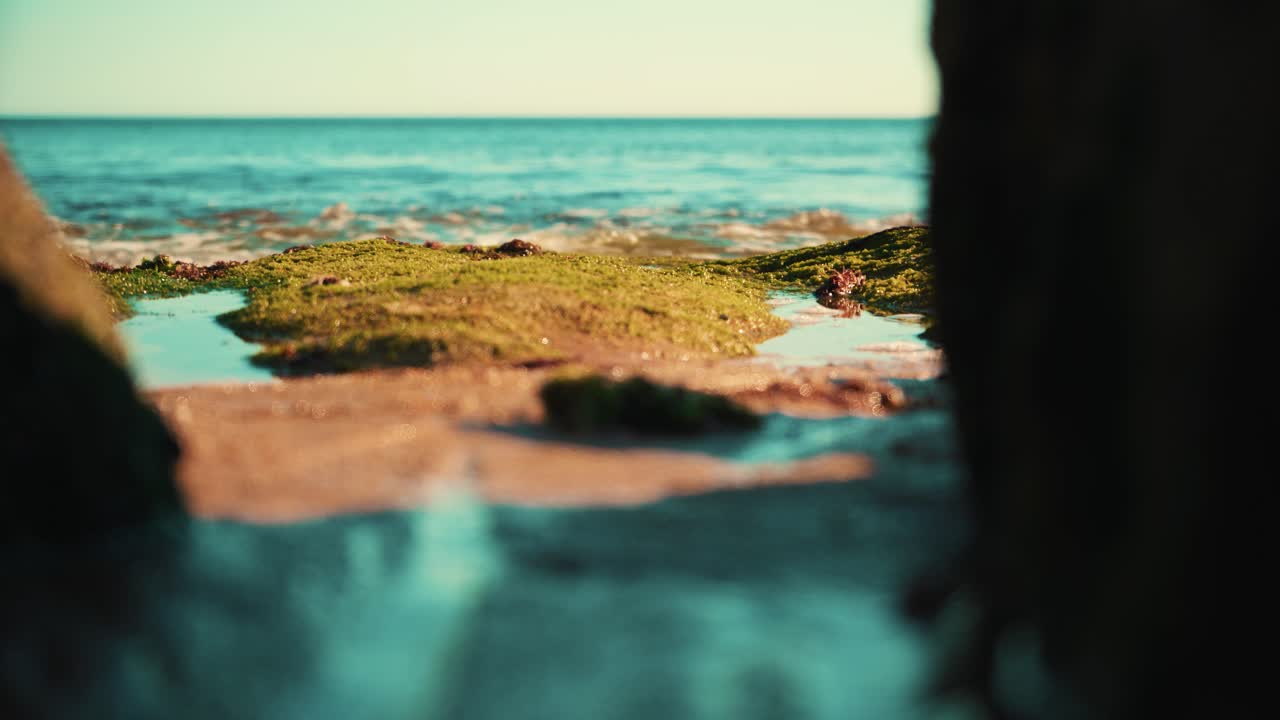 Litorale oceanico con onde leggere che si infrangono sulla sabbia, con alghe in primo piano tra le rocce al tramonto 4K.