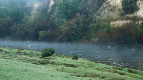 mysterious misty morning at river in lush nature, pan left