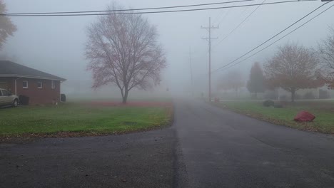 Paisaje-De-Niebla