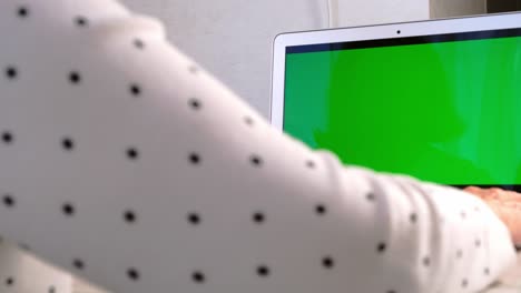 middle aged woman uses laptop with chroma key screen, copy space. concept for online shopping, education, work