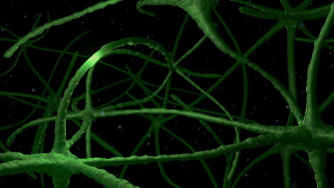 neurons pulsing through green nervous system