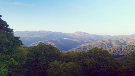 Volando-Hacia-Adelante-Entre-Y-Sobre-Los-árboles-En-Una-Cadena-Montañosa-En-Pujerra,-España