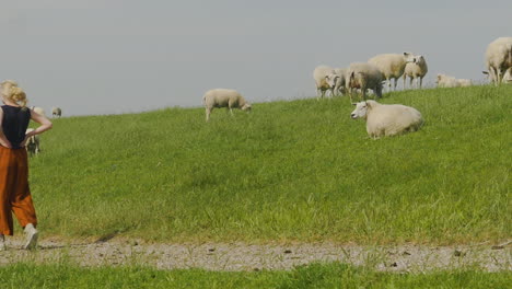 a young blonde woman with hands-on-hips walking towards grazing sheep