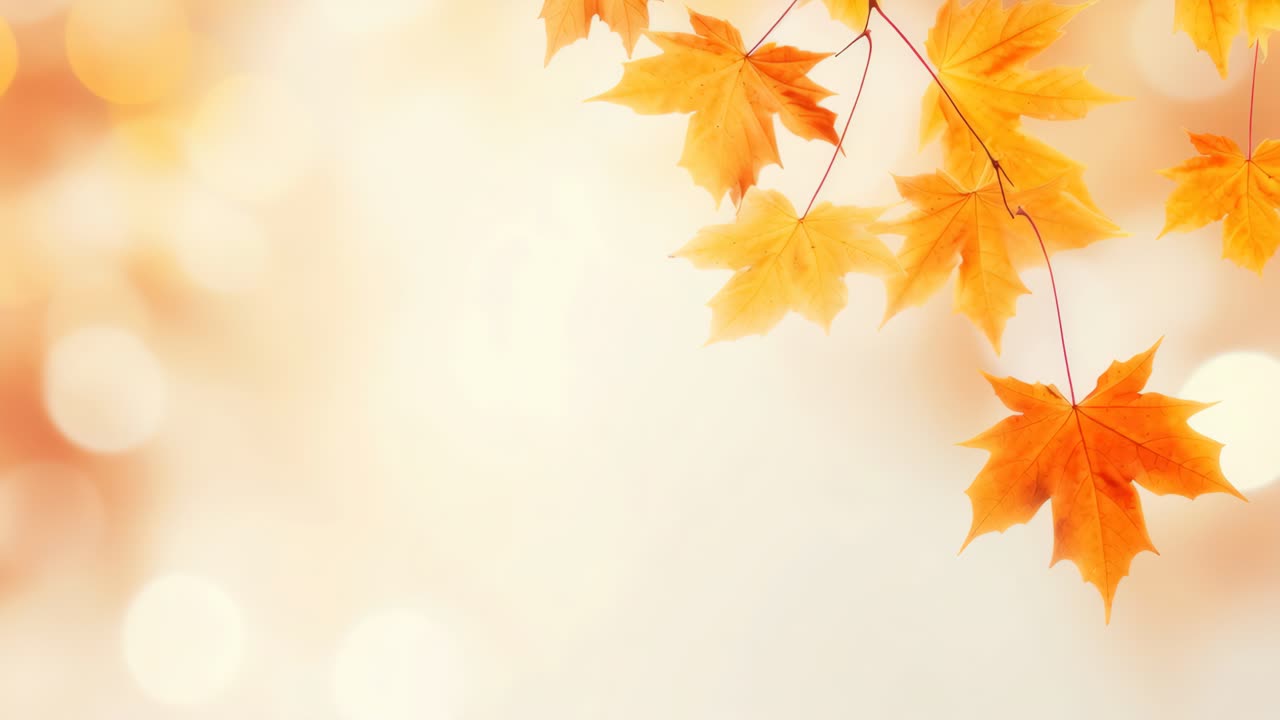 A serene autumn scene with vibrant orange leaves in focus, captured from a low angle