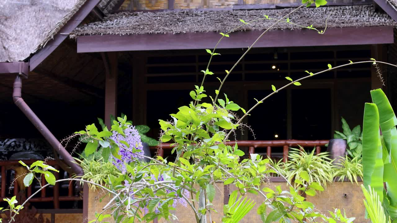 Lush tropical plants sway in the breeze against a rustic wooden house backdrop, creating a serene and vibrant atmosphere