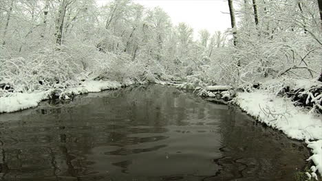 El-Arroyo-Fluye-A-Través-Del-Paisaje-Boscoso-Cubierto-De-Nieve-Mientras-Cae-La-Nieve