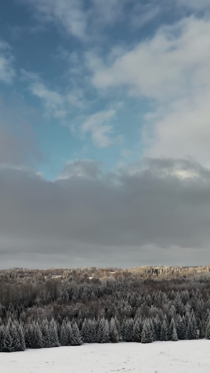 Flying over countryside landscape in snow covered winter season. Vertical aerial drone view of beautiful sky over the forest. Frozen forest trees in bright winter day. Clean environment.