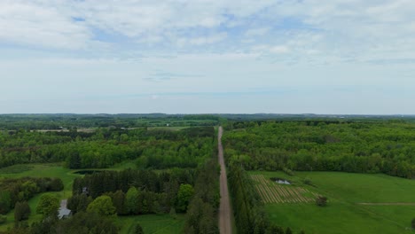 aerial: sideroad and forest during the day in caledon, ontario, canada, crane up drone shot