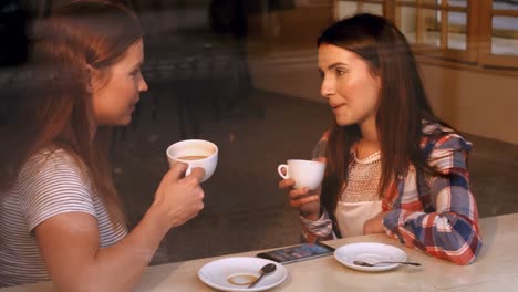 Hermosas-Mujeres-Interactuando-Entre-Sí-Mientras-Toman-Un-Café