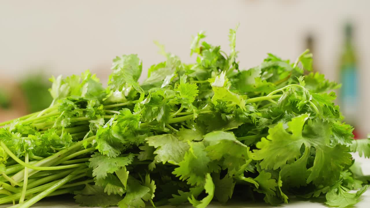 Cilantro parsley cutting by knife close up, chef chop cut coriander aromatic, traditional asian and Mexican cuisine herb studio shot. High quality 4k footage
